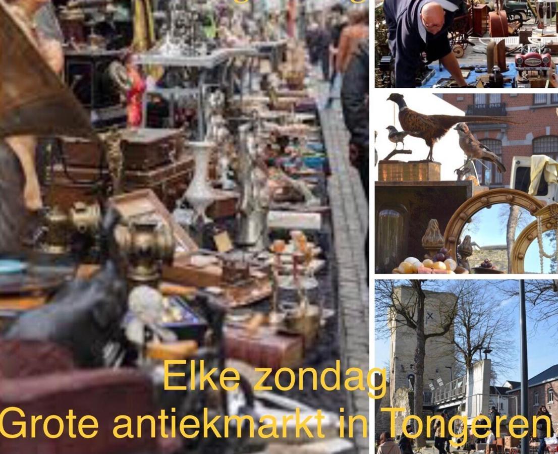 Vakantiehuisje Vds Tongeren Eksteriør bilde