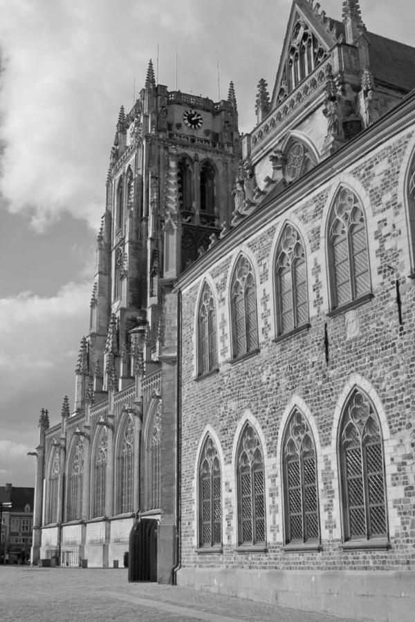 Vakantiehuisje Vds Tongeren Eksteriør bilde